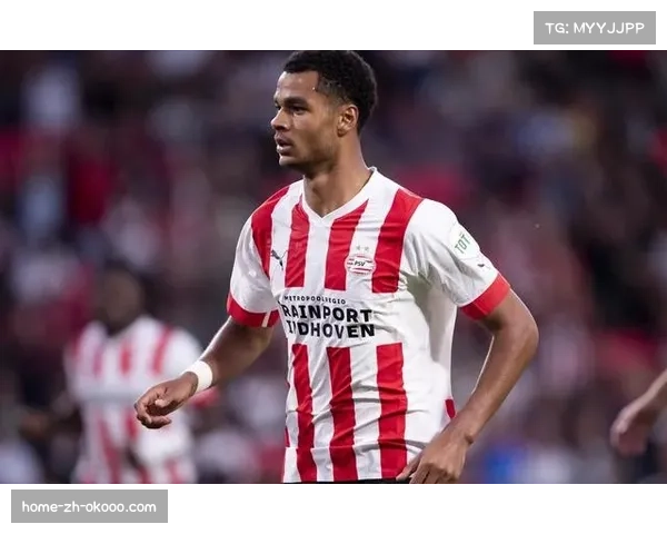 荷甲联赛数据分析应用深化,预期进球等指标影响战术